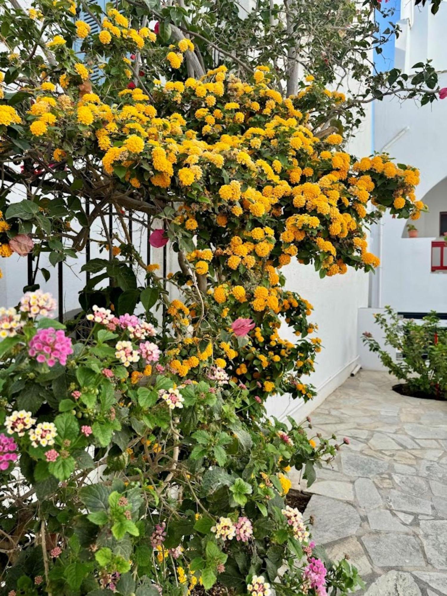 Elisso'S Philoxenia Aparthotel Agios Prokopios  Buitenkant foto
